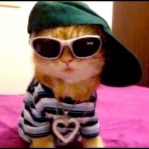 Meet your Posher, Edwin